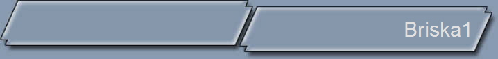 Briska1