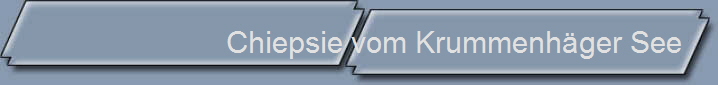 Chiepsie vom Krummenhger See