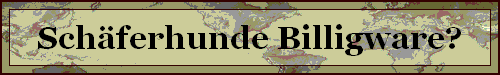 Schferhunde Billigware?
