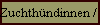 Zuchthndinnen / female