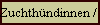 Zuchthndinnen / female