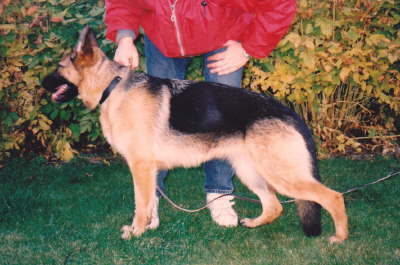 Bjanka
