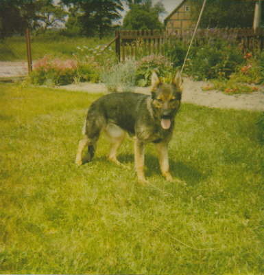 Dana von der Kalkhorst