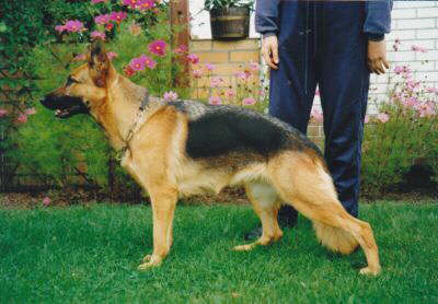 Gina vom Lohbr�ggerland