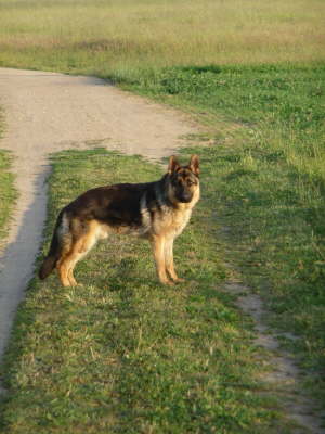 Odin2