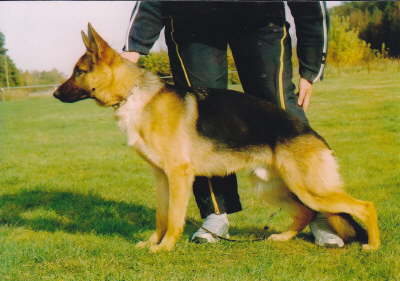 Tyson1